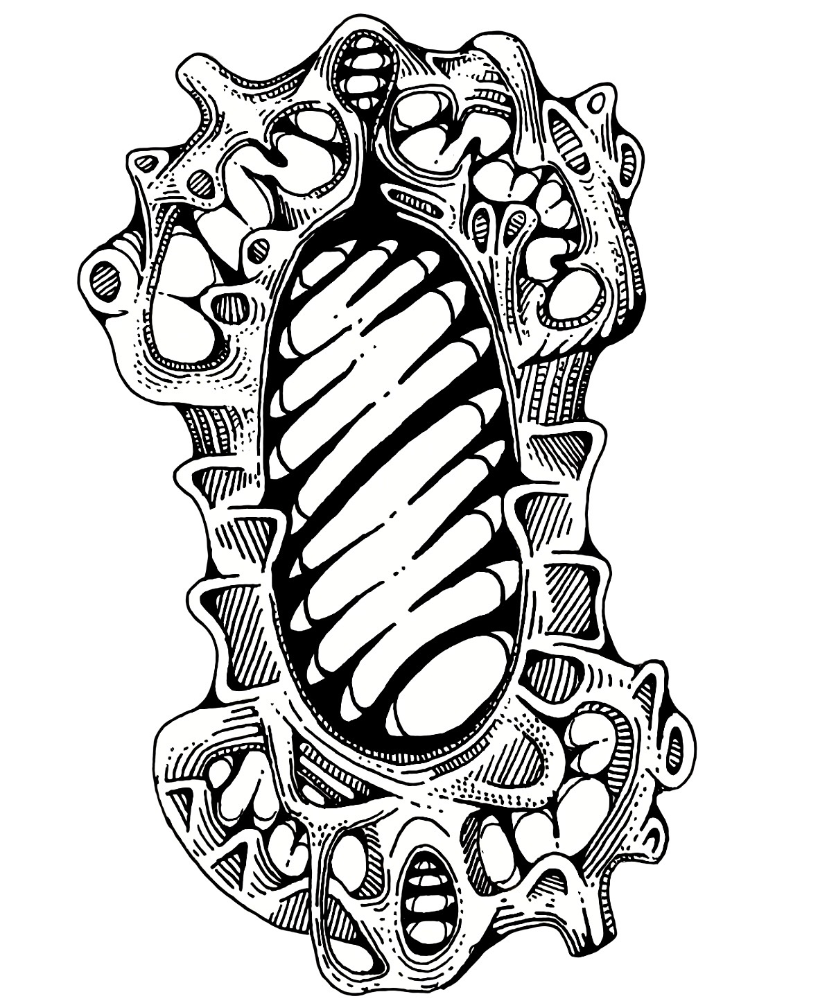 Emblem Drawing
